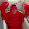 Kooked Lobster