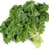 John Kale