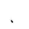 Bugs1977