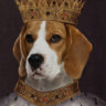 Royalbeagle