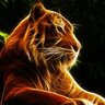 Anthony U
