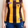 WesternSydneyHawk