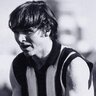 Pies 2023