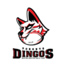 DingosRec