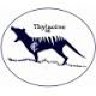 thylacine60