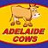 Adelaide Cows