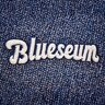 The Blueseum