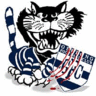 Mat the Cat