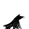 Chief Crow