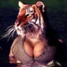 TigerCleavage