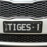 tiges1