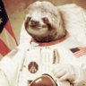 rightfoot_sloth