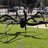 Crow_Magnon