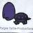 PURPLEturtle