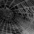 Cobwebs
