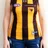 WesternSydneyHawk