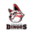 DingosRec