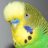 Henry Jr