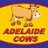 Adelaide Cows