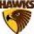 callum_hawk08