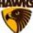 CP_Hawks