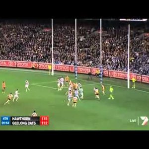 Tom Hawkins Goal After The Siren vs Hawthorn. - YouTube