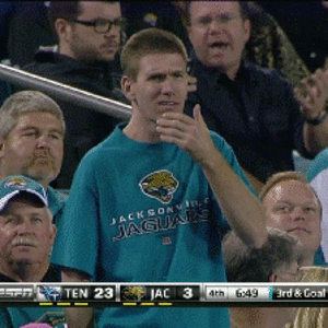 Jags fans