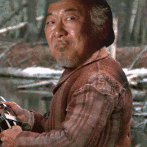 Mr Miyagi