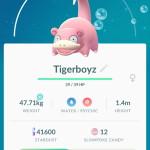 Tigerboyz as pokemon