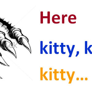 Here kitty kitty