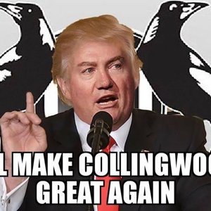 Make Collingwood Great Again