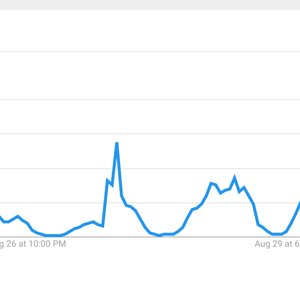 Dustin Martin Google