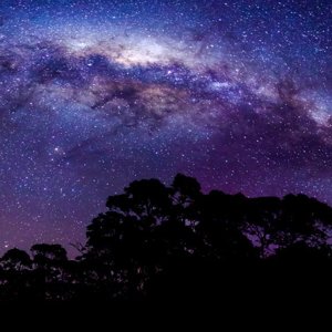 Milky Way skyline