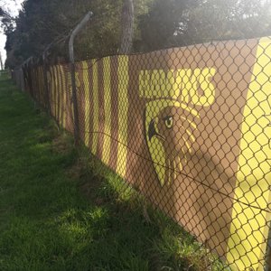 dingley fence