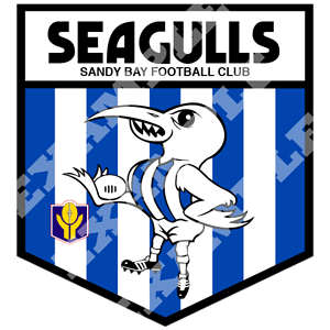 TANFL_Sandy_Bay_Seagulls_EXAMPLE.png