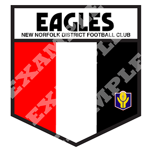 TANFL_New_Norfolk_Eagles_EXAMPLE.png
