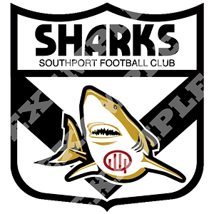 QAFL_Southport_Sharks_EXAMPLE.png