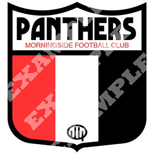 QAFL_Morningside_Panthers_EXAMPLE.png