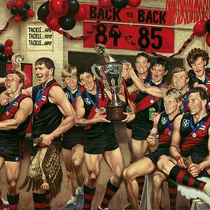 ESSENDON-FC-GLORY-AND-FAME-1984-85.jpg