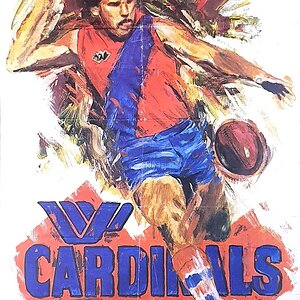 Fong_Cardinals.jpeg
