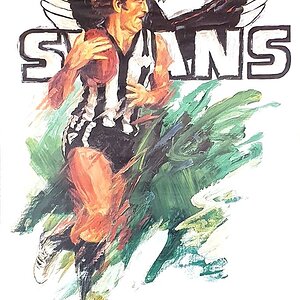 Nowotny-Swans.jpeg