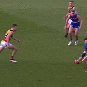 ezgif-5-46a743dea9.gif