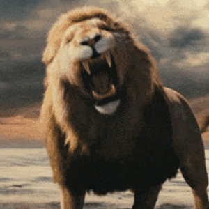 200.gif