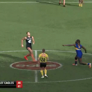 NicNat.gif