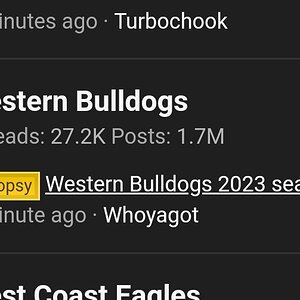 Screenshot_20230827_210619_Samsung Internet-01.jpeg