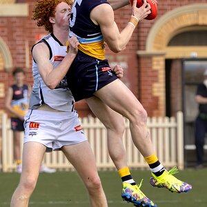 Harley Reid (1 of 3).jpg