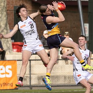 Harley Reid (2 of 3).jpg