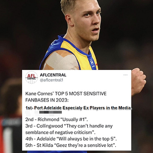 poty.png