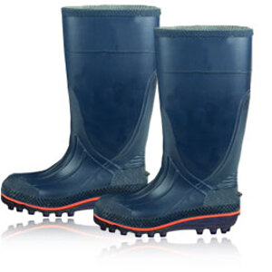 545x265-wellingtons.jpg