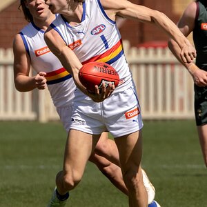 Caleb Windsor (1 of 3).jpg